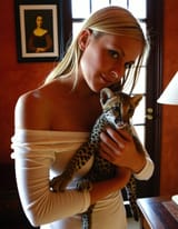ocelot