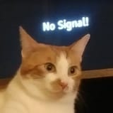 1733803112096