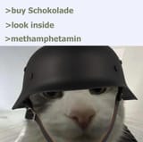 look inside