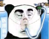 mfw2
