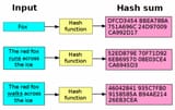 hash-examples