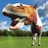 smiling horse