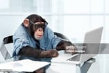 gettyimages-143921954-612x612