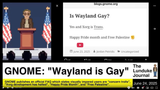 GNOME Wayland is Gay - YouTube
