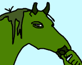 ZwischenablageBild-4