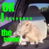 i-denoounce