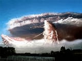 permian basin superorganism