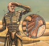 dune stillsuit