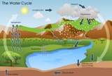 water-cycle