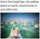 1598807704607