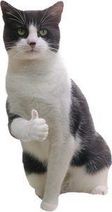 thumbs up