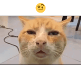 1746402994132647