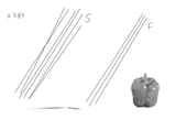 lines