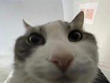 1736611714545376