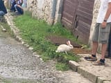 deaf_ch34_00058_