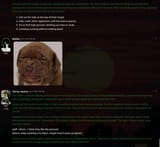 bug island dog