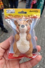 FLUX-00395-photograph of a packaged action figure of Australian brown color scheme round cheeks long tail small adorable toy quokka. The bag is found on flee market, street backdrop
