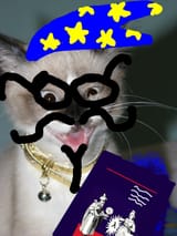 wizardkot