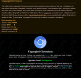 chrome_niO5f1wqYmu