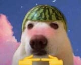 1732410301197