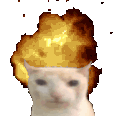 3944642