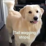 1750996106481931