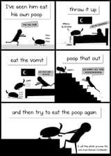 poop