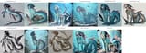fishy comparison
