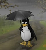 tux in rain