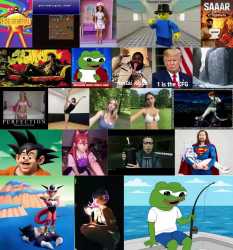 highlights_g_105737196_1751160569_thumb.jpg