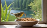 bird