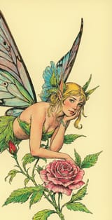 fairy