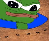 1732304217470
