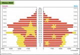 china_demographics_newest
