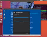 ss-ubuntu-unity-win7-vm