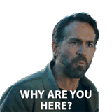 why-are-you-here