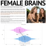 female brains