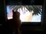 images (16)