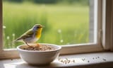bird