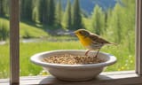 bird