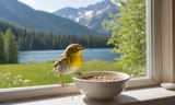 bird