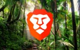 🦁