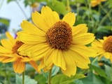 IMG_20240722_184249