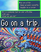 go on a trip