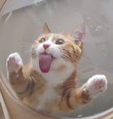GTwstcdWAAAnmv5