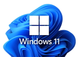 win11