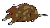 250px-Cpp_rat_mascot_2
