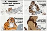 my-friends-in-tech-found-this-hilarious-captioned-stack-v0-xmeqbzjlh9ac1