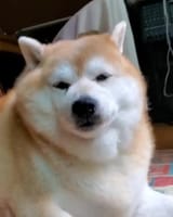 1720298008581548