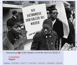 niggers